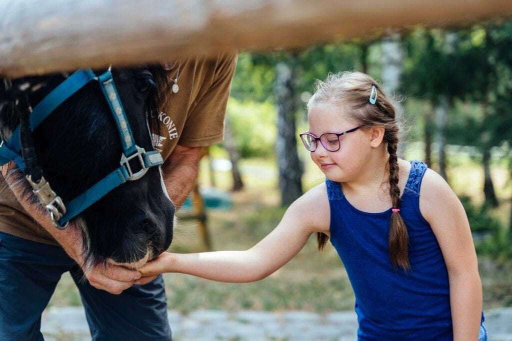Menina dando comida para um cavalo na mão