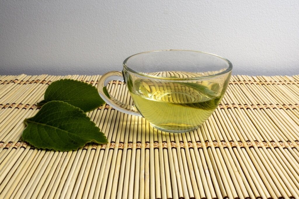 xícara de vidro com chá verde e folhas de boldo-do-chile do lado