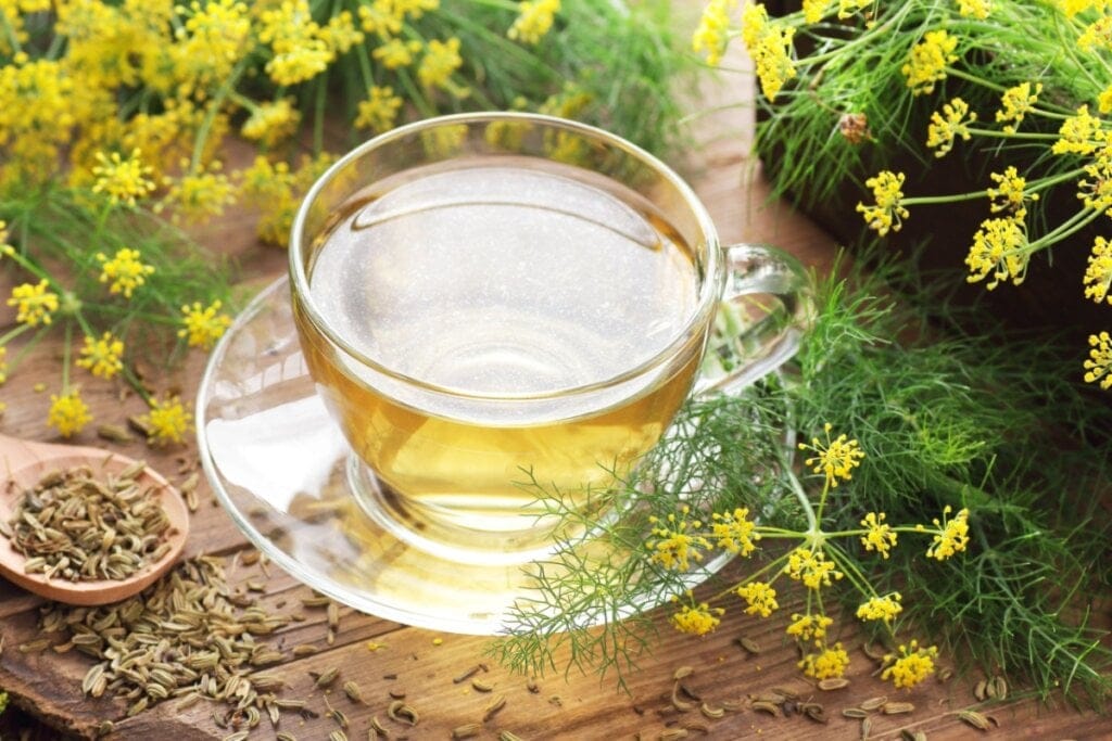 Chá de erva-doce servido em xícara de vidro em cima de mesa de madeiro, ao lado há ramos, sementes e flores de erva-doce