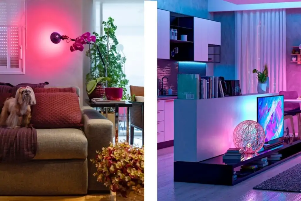 Ambientes com iluminação colorida, destacando uma parede com luz rosa vibrante e uma sala integrada iluminada em tons de azul e roxo