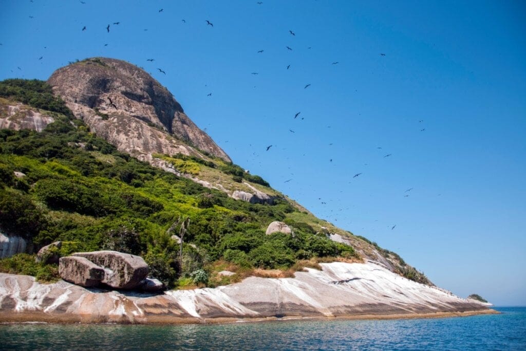 Vista da Ilha de Alcatrazes, no litoral de São Sebastião, com seu rochedo coberto por vegetação, cercado por aves marinhas, banhado pelo mar 