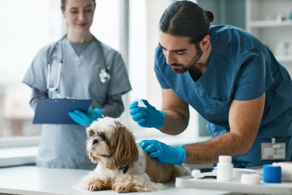 Veterinário fazendo exame em cachorro no laboratório