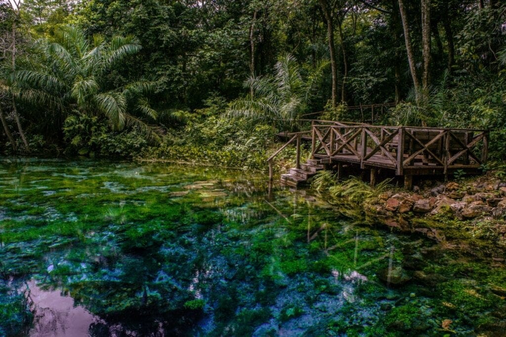 Imagem de águas cristalinas e um deck para entrar na água